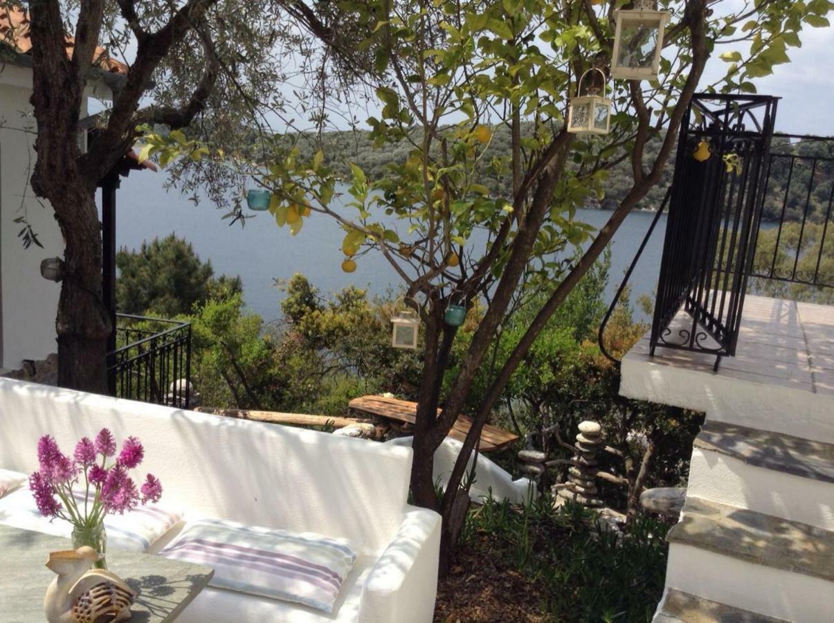 Dimitra Apartments มิลินา ภายนอก รูปภาพ